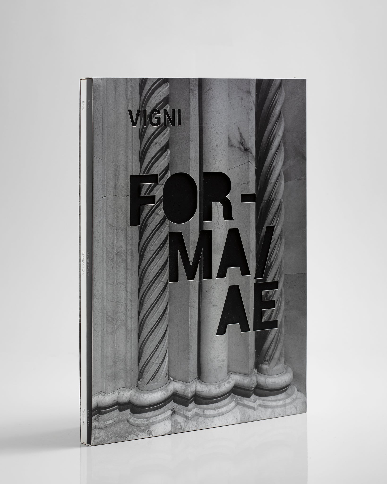 "FORMA/AE" di Stefano Vigni